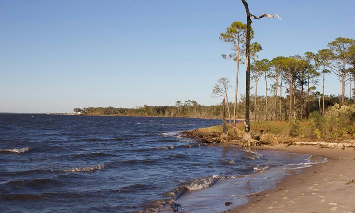 Florida Panhandle bay shoreline with white sand and pine trees